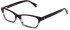 Walter & Herbert Fields glasses in Purple/Pink