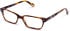 Walter & Herbert Moore glasses in Brown/Tort