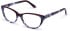Walter & Herbert Pankhurst glasses in Red/Grey Tort