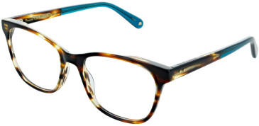 Walter & Herbert Parsons glasses in Tort