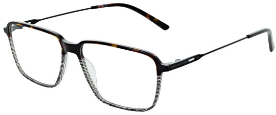 X-Eyes Lite 31 glasses in Tort/Grey