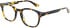 Zenith 106 glasses in Tort