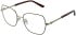 Amore Alessia glasses in Brown