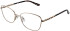 Amore Allegra glasses in Rose Gold
