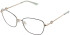 Amore Beatrice glasses in Grey