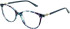 Amore Bianca glasses in Teal Multi