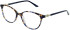 Amore Bianca glasses in Tort