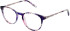 Amore Renata glasses in Purple