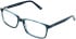 Cameo Archie glasses in Blue