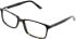 Cameo Archie glasses in Dark Tort