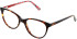 Cameo Ava glasses in Tort