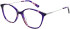 Cameo Elise glasses in Purple