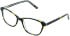 Cameo Isla glasses in Havana