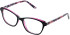 Cameo Isla glasses in Purple