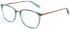 Cameo Jasmine glasses in Teal