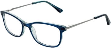 Cameo Lily glasses in Blue/Silver