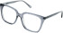 Cameo Luna glasses in Crystal Grey