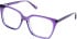 Cameo Luna glasses in Crystal Purple Rose