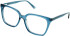 Cameo Luna glasses in Crystal Teal