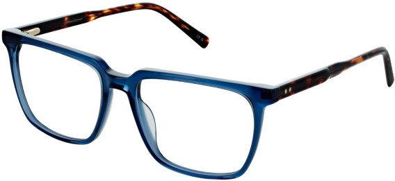 Cameo Miles glasses in Blue