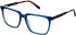 Cameo Miles glasses in Blue