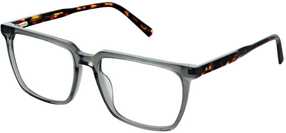 Cameo Miles glasses in Grey