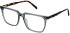 Cameo Miles glasses in Grey