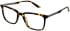Cameo Noah glasses in Tort
