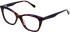 LK Bennett 94 glasses in Purple/Tort