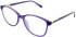 Lazer 4122 glasses in Purple