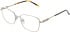 Lazer 4136 glasses in Gold