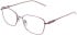 Lazer 4136 glasses in Lilac