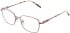 Lazer 4136 glasses in Rose Gold