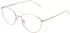 Lazer 4138 glasses in Gold