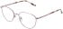 Lazer 4138 glasses in Lilac