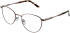 Lazer 4150 glasses in Rose Gold