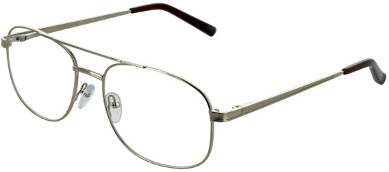 Matrix 231-56 glasses in Gold