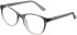 Matrix 851 glasses in Grey