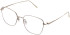 Puriti 32 glasses in Gold