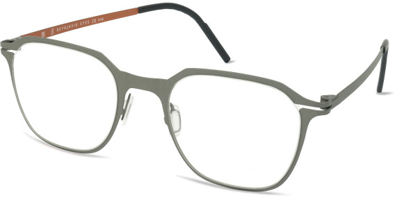 Reykjavik Eyes Svend glasses in Gun/Bronze