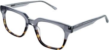 vibe. 01 glasses in Black/Tort