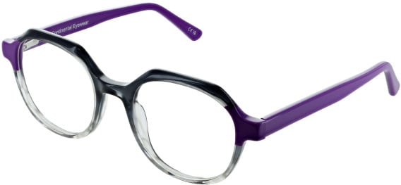 vibe. 04 glasses in Grey/Purple