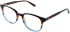vibe. 08 glasses in Tort Multi