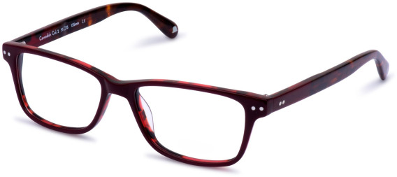 Walter & Herbert Cavendish glasses in Red