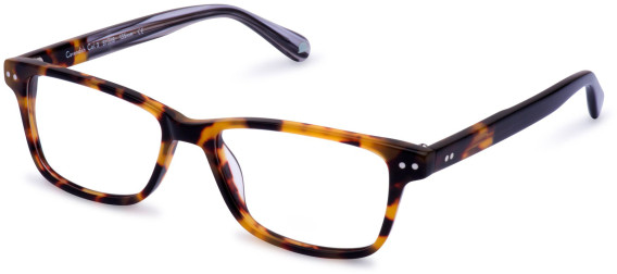 Walter & Herbert Cavendish glasses in Tort