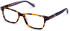 Walter & Herbert Cavendish glasses in Tort