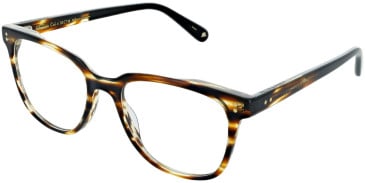 Walter & Herbert Chapman glasses in Tort