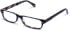Walter & Herbert Darling glasses in Blue/Tort