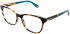 Walter & Herbert Parsons glasses in Tort