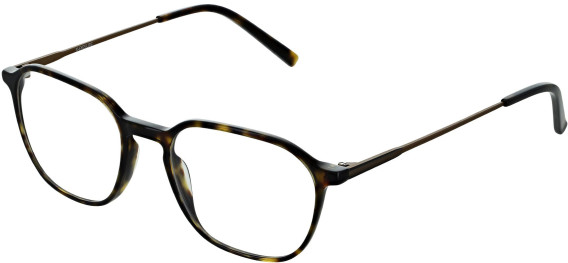 X-Eyes Lite 36 glasses in Tort
